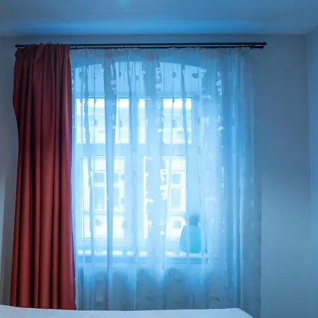 Lion King Ukrainka Apartment *