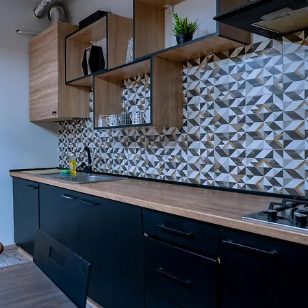 Lion King Ukrainka Apartment Lviv